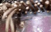 顆粒機(jī)電機(jī)